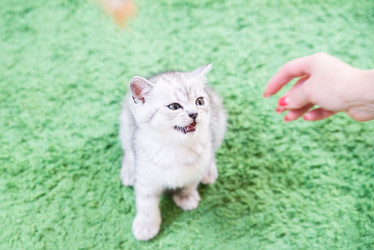 Similar image 15926942