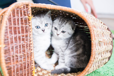 Similar image 15926948