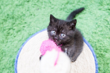 Similar image 15926973