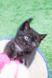 Similar image 15926980