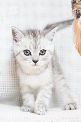 Similar image 15926981