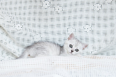 Similar image 15926992