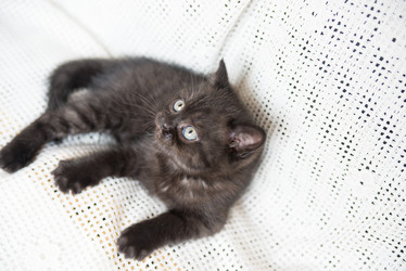 Similar image 15926998