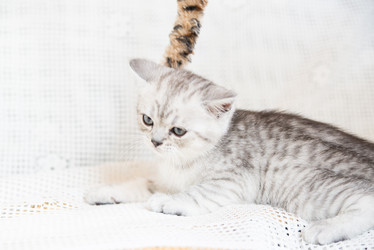 Similar image 15927002