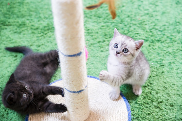 Similar image 15927010