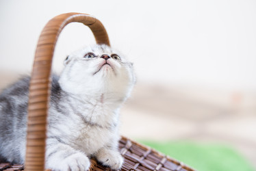 Similar image 15927011