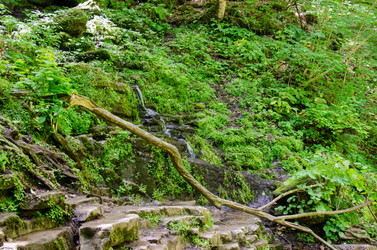 Similar image 15926856