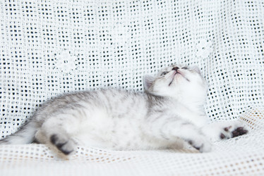 Similar image 15926869