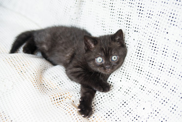 Similar image 15926871