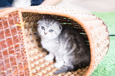 Similar image 15926880