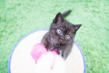 Similar image 15926905