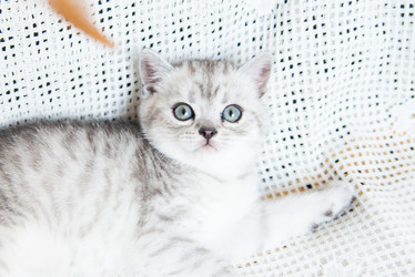 Similar image 15926919