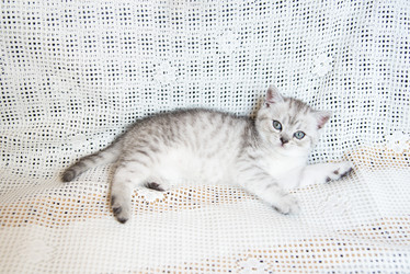 Similar image 15926939