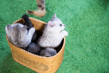 Similar image 15926941