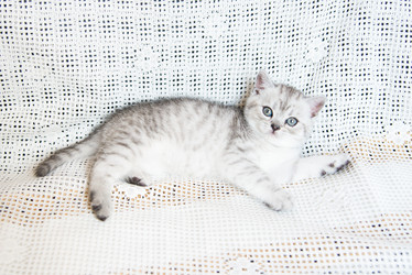 Similar image 15926956