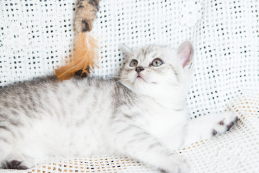 Similar image 15926963