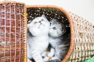 Similar image 15926967