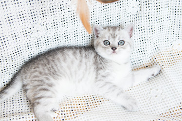 Similar image 15926968