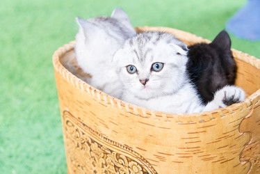 Similar image 15926873