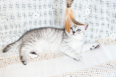 Similar image 15926874