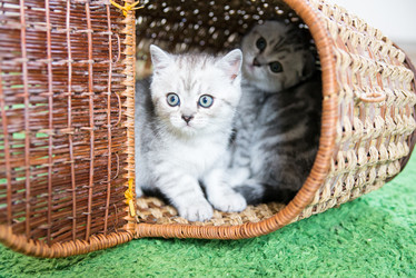 Similar image 15926875