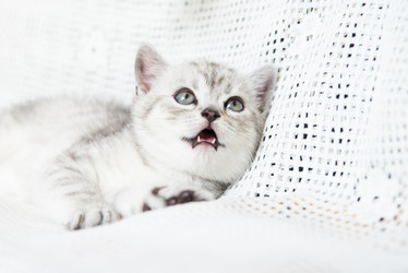 Similar image 15926877