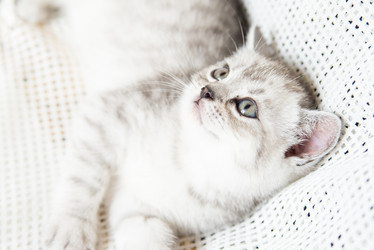 Similar image 15926878