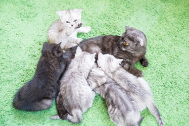 Similar image 15926897