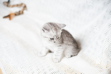 Similar image 15926906