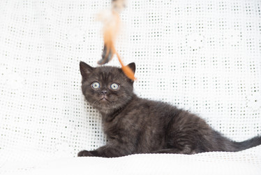 Similar image 15926931