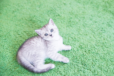 Similar image 15926943