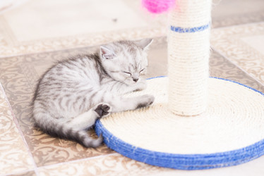 Similar image 15926947