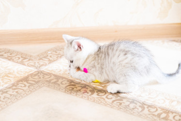 Similar image 15926958