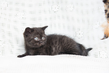 Similar image 15926959