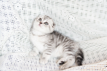 Similar image 15926883