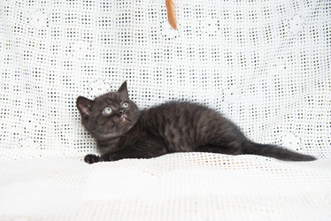 Similar image 15926886