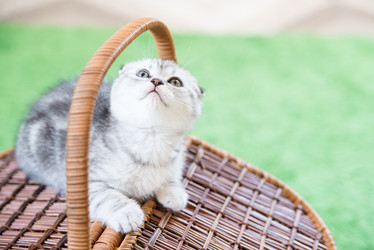 Similar image 15926888