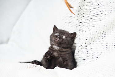 Similar image 15926891