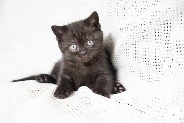 Similar image 15926893