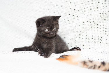 Similar image 15926896