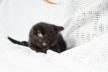 Similar image 15926898