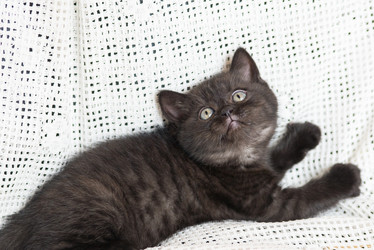 Similar image 15926907