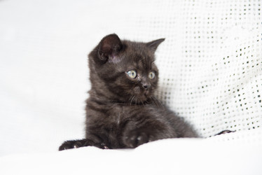 Similar image 15926923