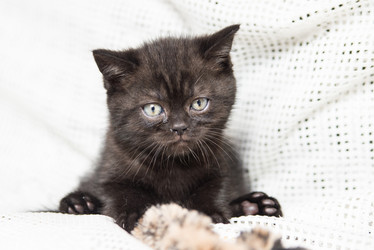 Similar image 15926944