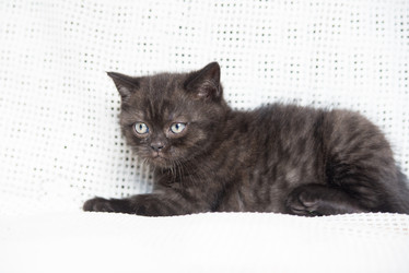 Similar image 15926901