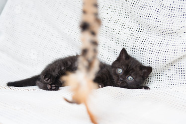 Similar image 15926902