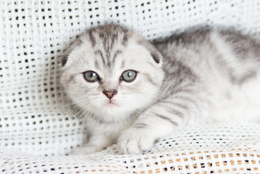 Similar image 15926909