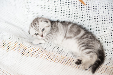 Similar image 15926984