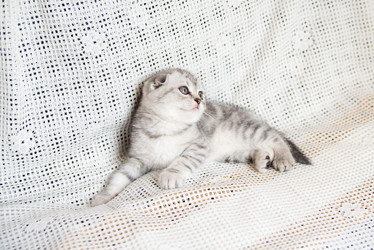 Similar image 15926987