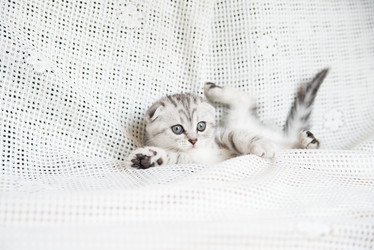 Similar image 15926990